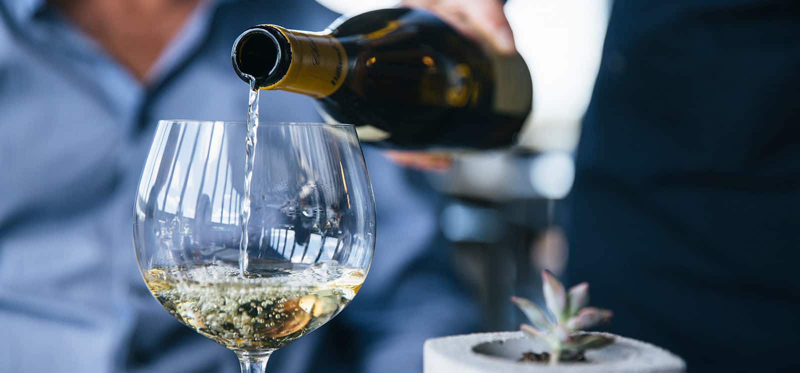 Lions and Wines luxury South Australian wildlife, food and wine experience