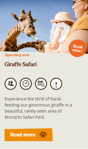 Giraffe experience