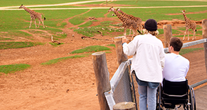 Accessibility at the park