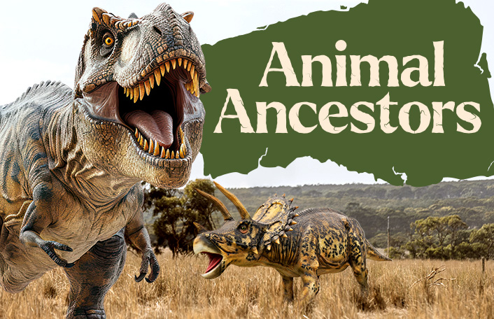 Cartoon T-Rex dinosaur roaring next to a Triceratops on a bushland background. Beige text on forest green block reads "Ancient Ancestors"
