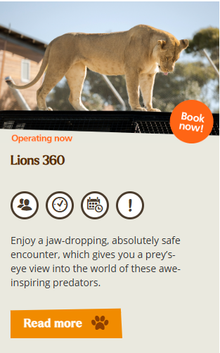 Lions 360 experience