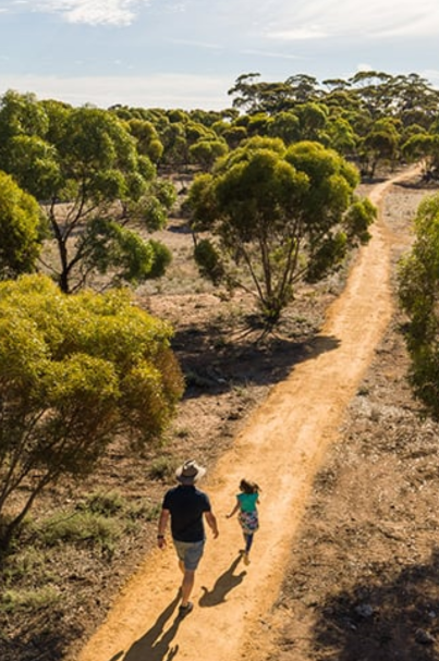 walking tracks Monarto Safari Park
