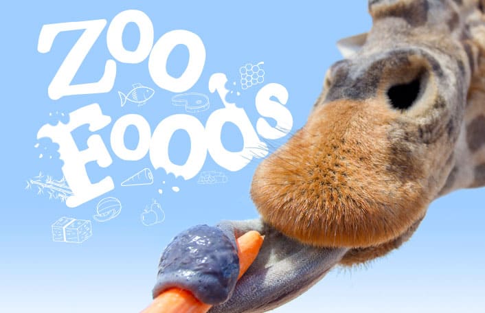 Zoo foods